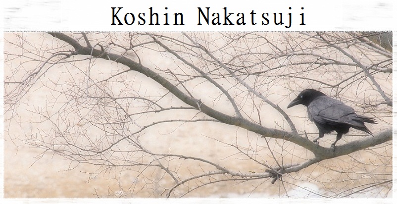 Koshin Nakatsuji